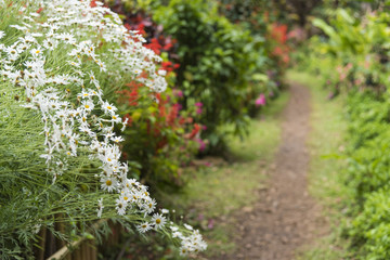 the flower garden park