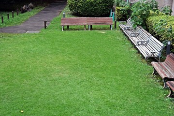 Grass with Bench