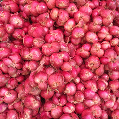 shallot onion red background wallpaper food fresh ingredient cook
