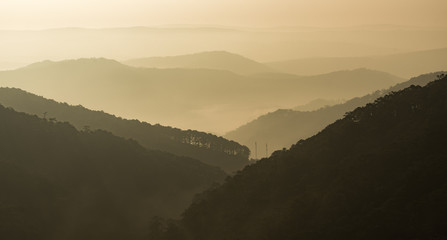 the nature sunset, warn light