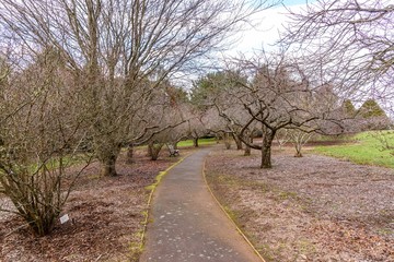 Obraz premium garden