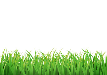 Fototapeta premium Easter grass border. Vector design isolated on white