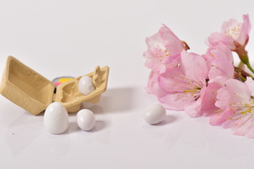 卵と桜