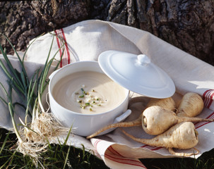 Velouté de panais à la ciboule