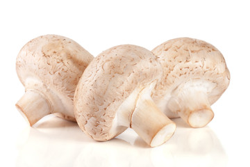 Three fresh champignons mushrooms isolated on a white background
