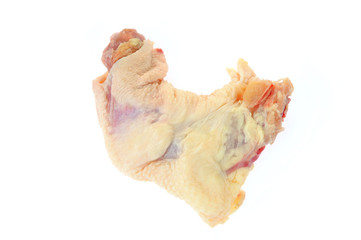 chicken neck on white background