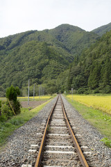 Fototapeta na wymiar JR山田線沿線の田園風景