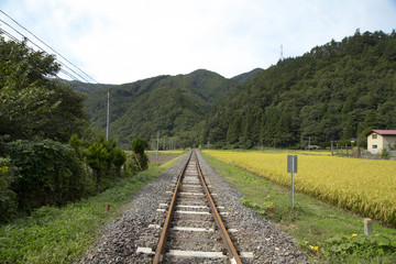 JR山田線沿線の田園風景