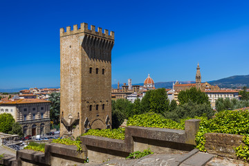 Fototapeta na wymiar Florence cityscape - Italy