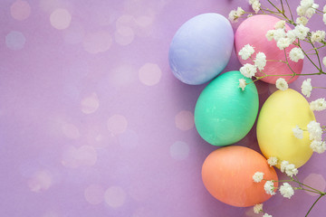 Easter eggs and white flowers on purple background. Space for text.