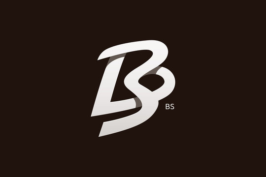 Letter B and S Monogram Logo Design Vector