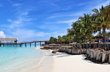 Foto op Canvas Paradijs van Zanzibar © Natalya K