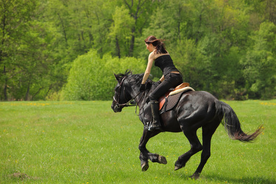 Equestrian girl riding a black horse on green meadow