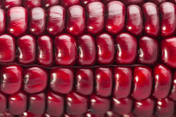 close up of fresh red color corn can use as a texture and background