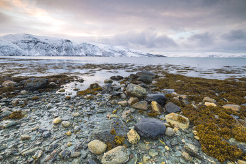 Obraz premium Sunset at the lakeside with rocks of a fjord during low tide in a snowy winter landscape.