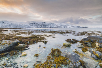 Sunset at the lakeside with rocks of a fjord during low tide in a snowy winter landscape.