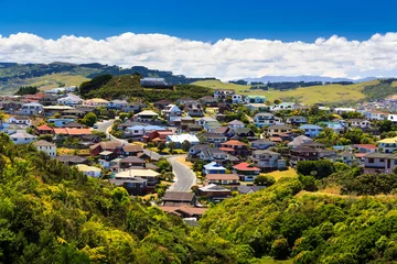 Crédence de cuisine en verre imprimé Nouvelle-Zélande beau quartier avec maisons. Lieu : Nouvelle-Zélande, capitale Wellington