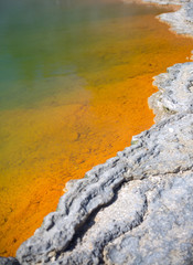 Hot thermal spring, New Zealand

