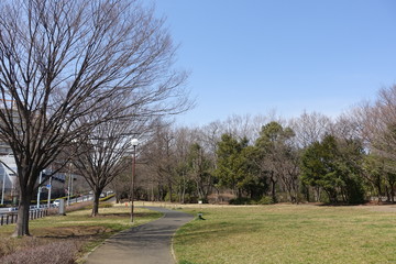 公園散歩