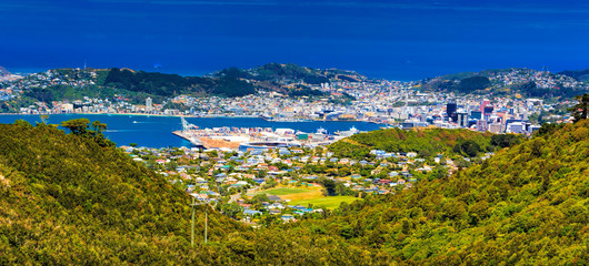 Location: New Zealand, capital city Wellington. View from the SkyLine track and Mount KayKay © skylynxdesign