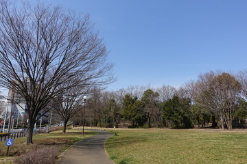 公園散歩
