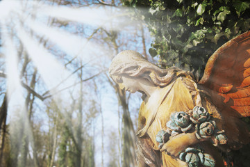 Majestic view of statue of golden angel illuminated by sunlight against a background of dark foliage. Dramatic unusual scene. Retro filter and vintage style.