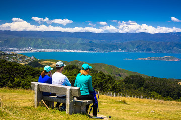 Fototapeta na wymiar Location: New Zealand, capital city Wellington. View from the SkyLine track and Mount KayKay