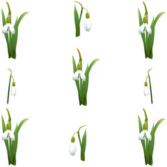 Seamless pattern with many snowdrops flowers and green leaves same sizes. White background. Vector illustration