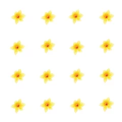 Rolgordijnen Pattern of yellow daffodils, flowers on white background. Narcissus flowers. Vector illustration © galinadarla