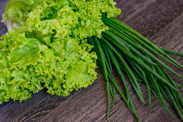 fresh spring lettuce, green onions and dill on a dark wooden background 