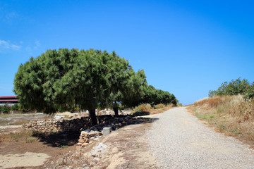 Archaelogical site in Paphos, Cyprus