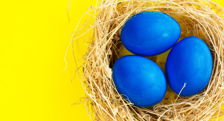 Happy Easter Card - space for text. Blue and yellow Easter eggs in nest on rustic wooden background, selective focus image 