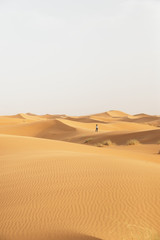 Gold desert in sunset. © santypan