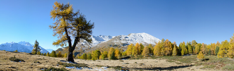 Schweiz, Wallis, Herbst