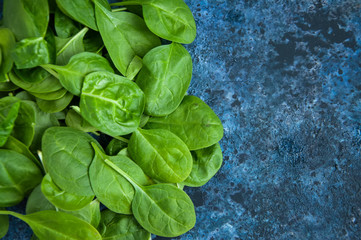 Fresh baby spinach leaves on a blue textured background. Copy space.