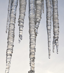 Fototapeta premium ice icicles