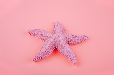 pink starfish