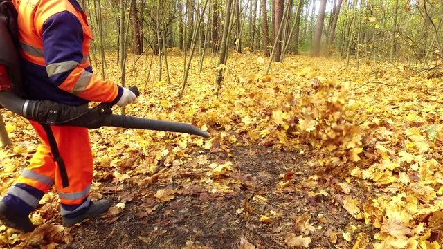 worker blows the autumn leaves in the park