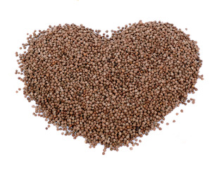 Heart-shaped Coriander seeds isolated on white background