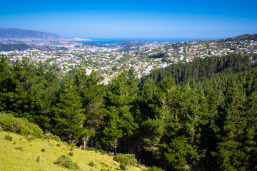 Location: New Zealand, capital city Wellington, North Island. View from the SkyLine track and Mount KayKay