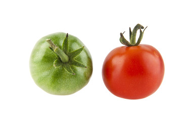 tomatoes