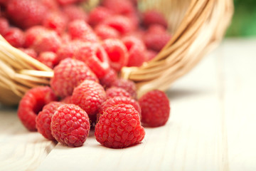 strawberries in a basket on the table in the garden