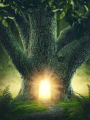 Obraz premium Drzewo z bramą