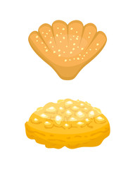 Cookie homemade breakfast bake cakes isolated and tasty snack biscuit pastry delicious sweet dessert bakery eating vector illustration.