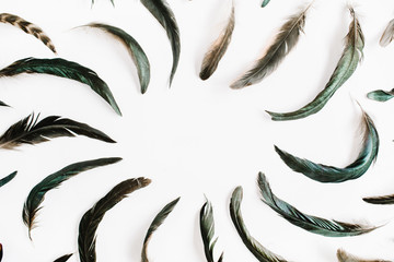 Frame of bird feathers pattern. Flat lay, top view