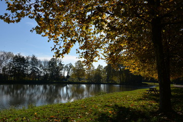 Fototapeta premium au bord de l'eau