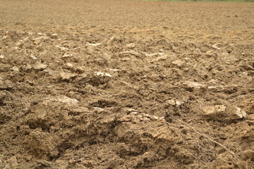terre labour