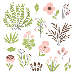floral vector  collection