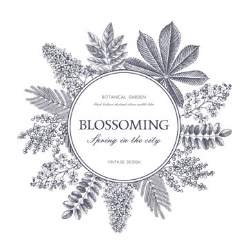 Vector card design with hand drawn blossoming trees. Floral wedding invitation template. Vintage flower illustration