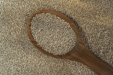 Horizontal shot of quinoa grain in a rustic wooden spoon against a quinoa background